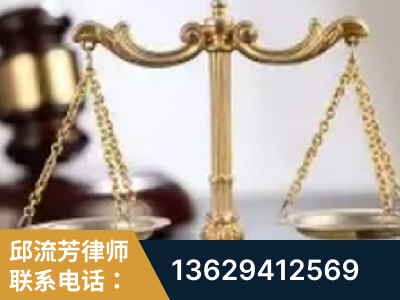 南宁-委托诉讼代理人出庭